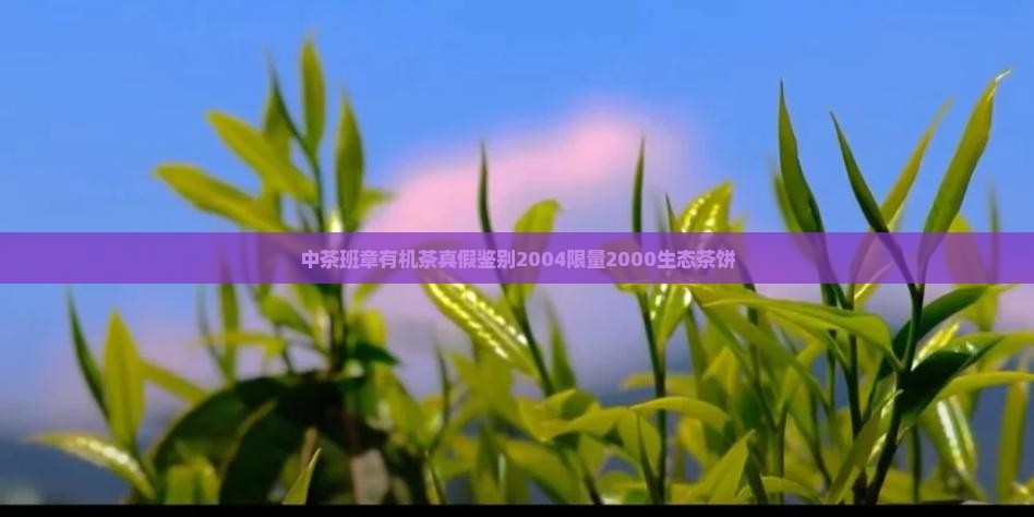 中茶班章有机茶真假