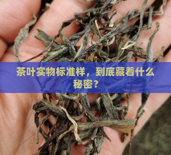 茶叶实物标准样及作用
