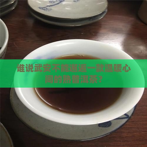 武安熟普洱茶代理
