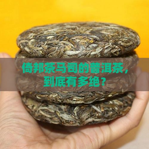 倚邦茶马司至尊普洱茶