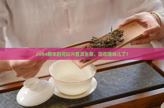 可以兴普洱茶2004生茶