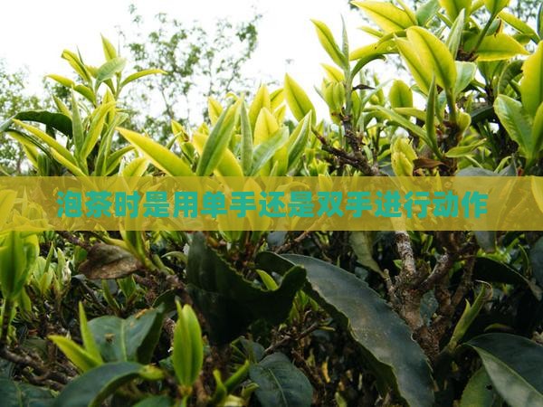 泡茶手的动作是带手还是双手
