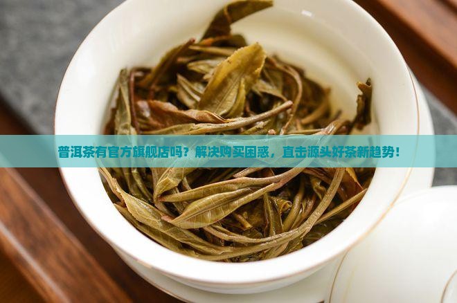 普洱茶有官方旗舰店吗