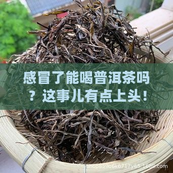 普洱茶对感冒有好处吗