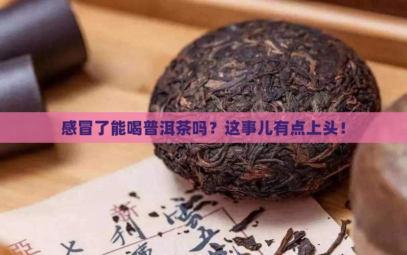 普洱茶对感冒有好处吗