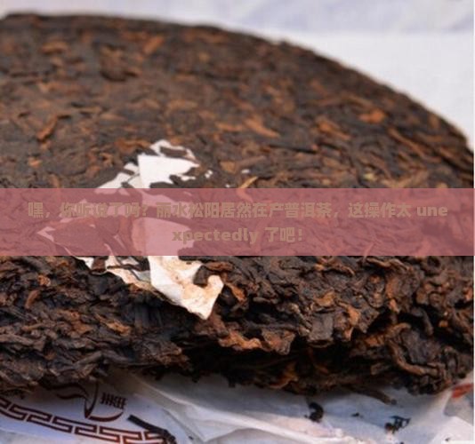 丽水松阳产普洱茶