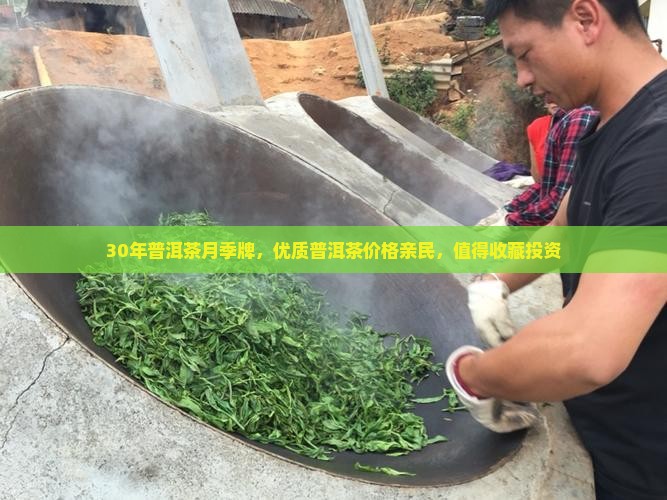 30年普洱茶月季牌