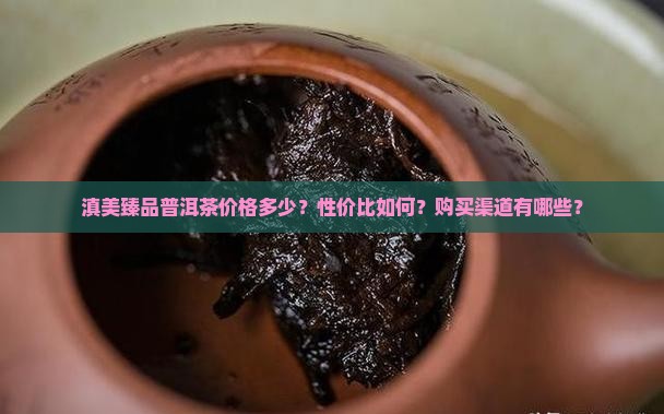 滇美臻品普洱茶价格