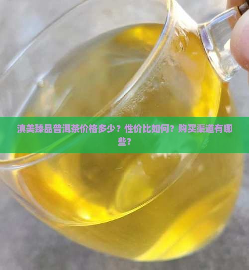 滇美臻品普洱茶价格