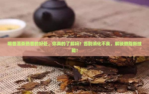 喝普洱茶熟普的好处