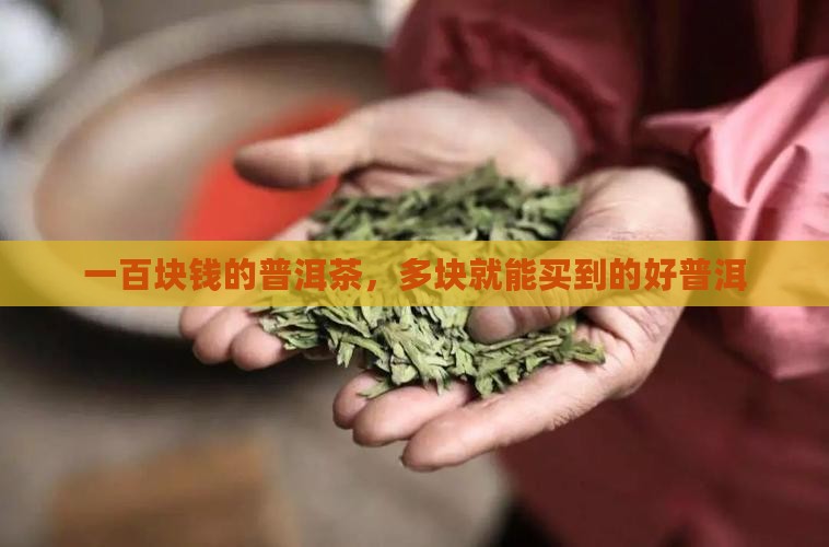 100多块钱的普洱茶