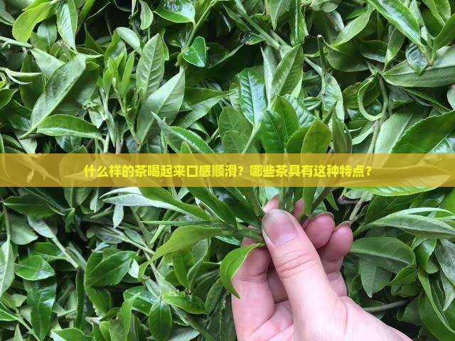 什么茶喝起来口感滑