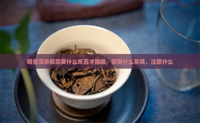 喝普洱茶都需要什么东西
