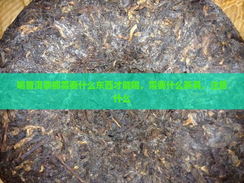 喝普洱茶都需要什么东西