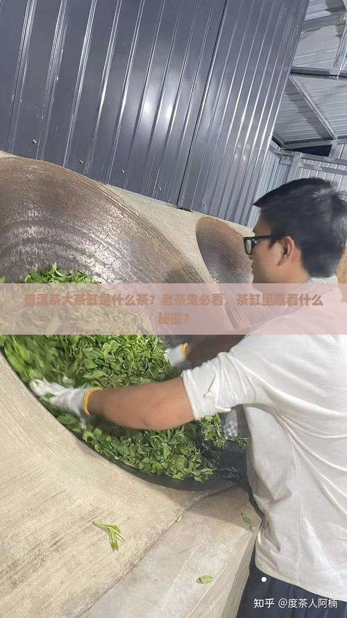 普洱茶大茶缸是什么茶