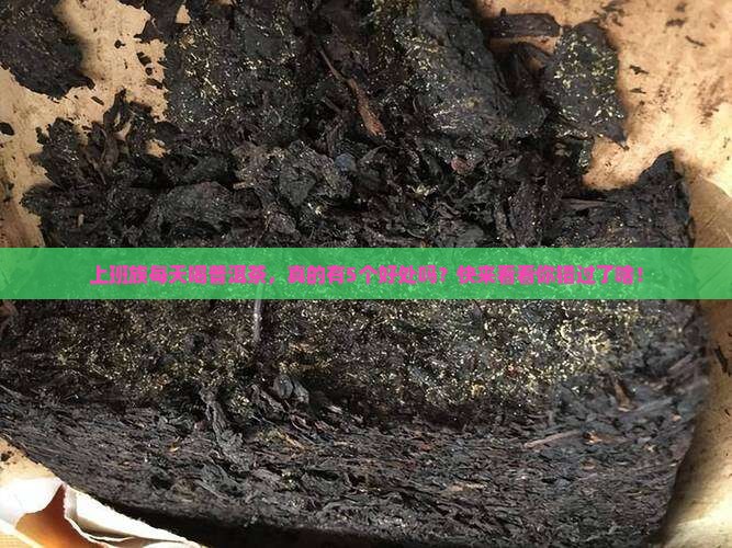 每天喝的普洱茶有哪些好处