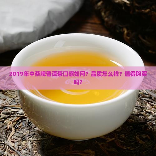 2019年中茶牌普洱茶