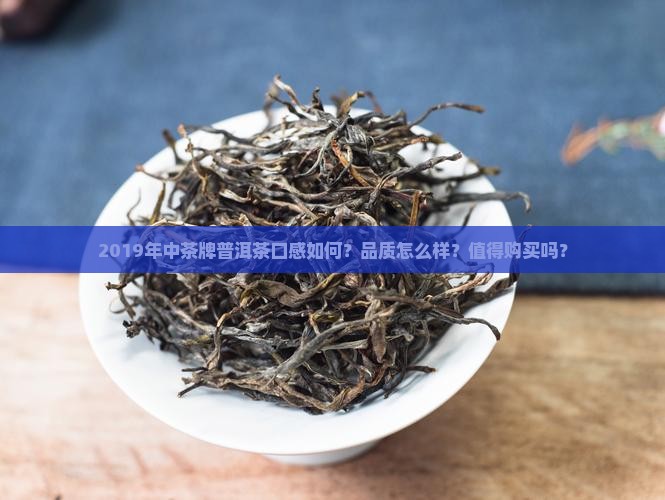 2019年中茶牌普洱茶