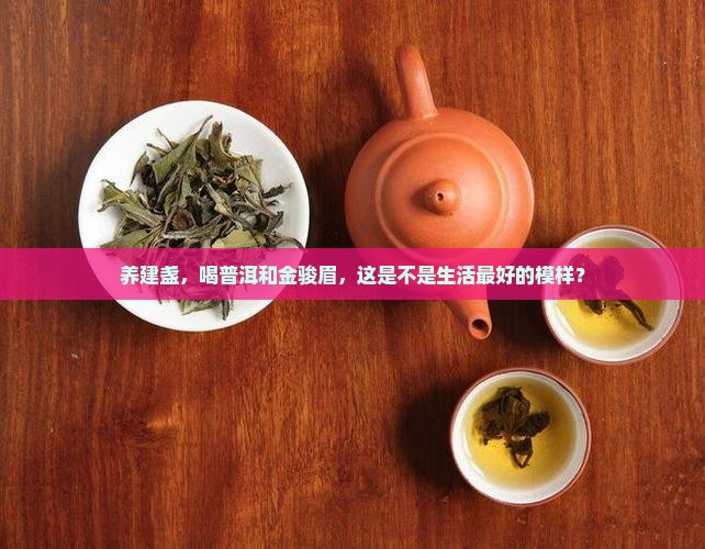 养建盏普洱和金骏眉