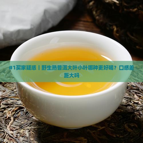 野生熟普洱茶大叶和小叶