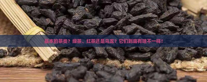 基本的茶类分为茶的种类及其特点