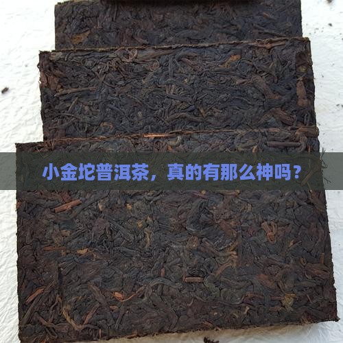 普洱茶小金坨推荐