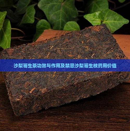 沙梨寄生茶功效与作用