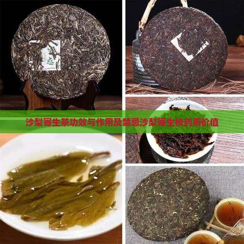 沙梨寄生茶功效与作用