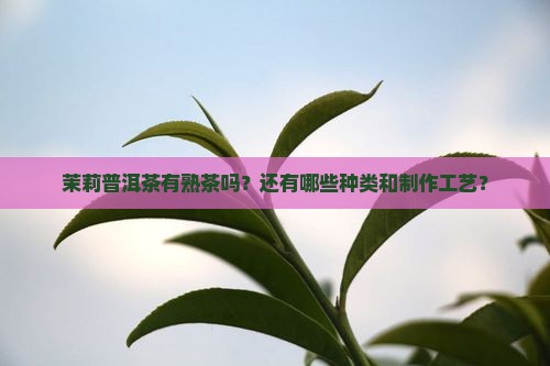 茉莉普洱茶有熟茶吗