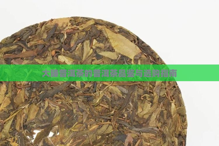 大臻普洱茶靠谱吗