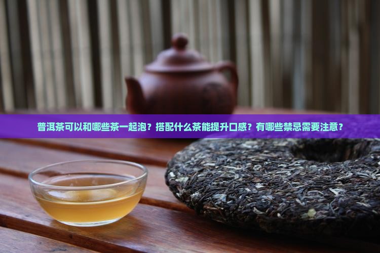 普洱茶喝什么茶可以一起泡