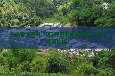 熟普洱茶适合煮什么