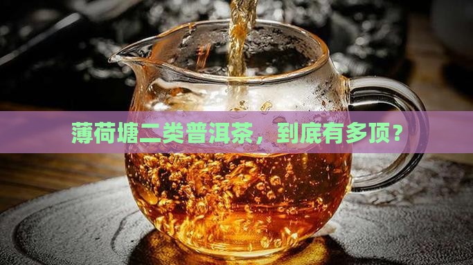 薄荷塘二类普洱茶什么档次