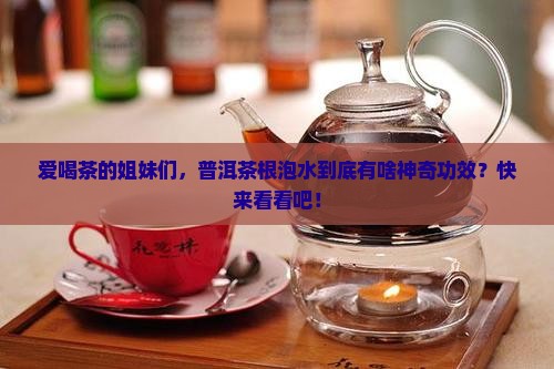 普洱茶根泡水的功效