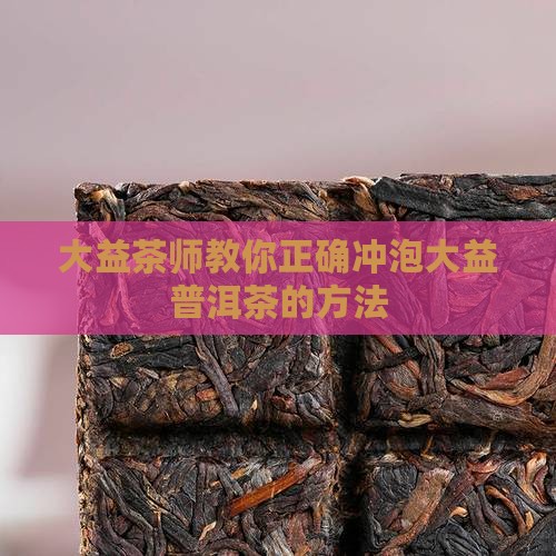 大益茶师教你冲普洱茶