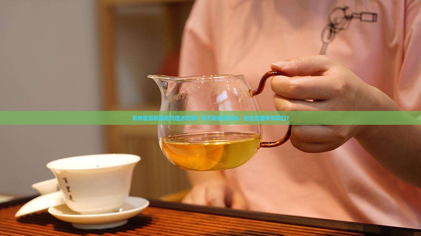贺州普洱茶渠道代理点在哪