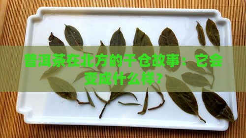 普洱茶北方干仓存储