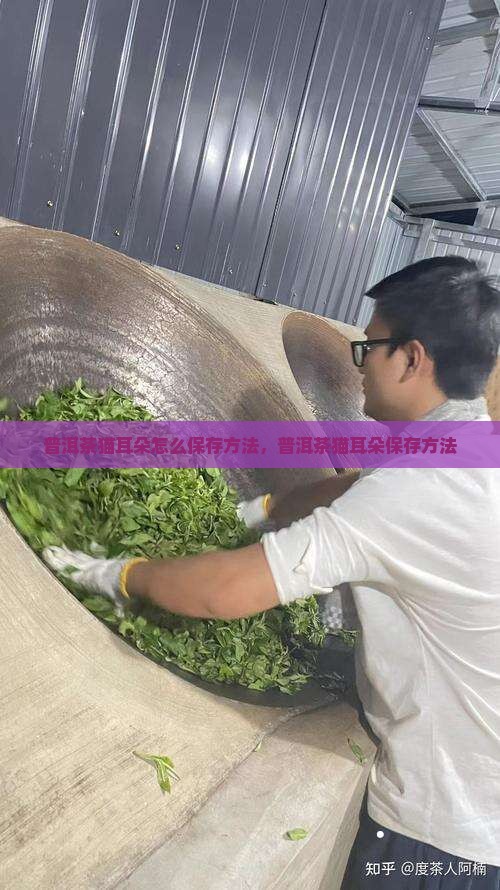 普洱茶猫耳朵怎么保存好