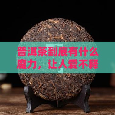 普洱茶为什么受追捧