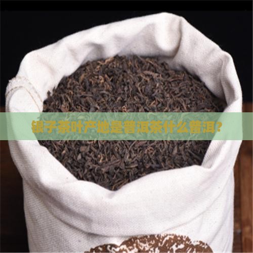 碎银子茶叶哪里产的