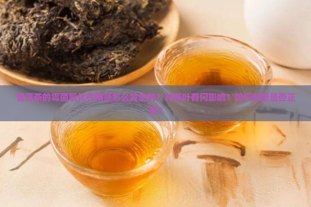 普洱茶的霉菌氧化作用