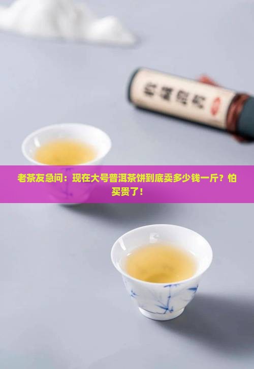 大号普洱茶饼价格多少钱一斤