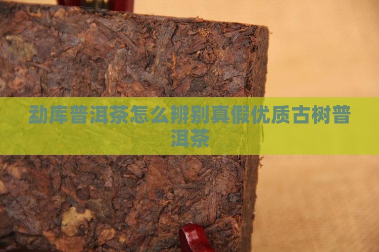 勐库普洱茶怎么辨别真假 勐库普洱茶怎么辨别真假