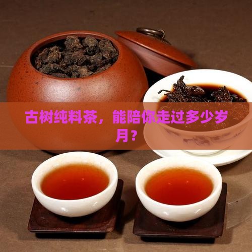 古树纯料茶能保存多长时间