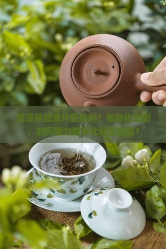 普洱茶勐海片区规划