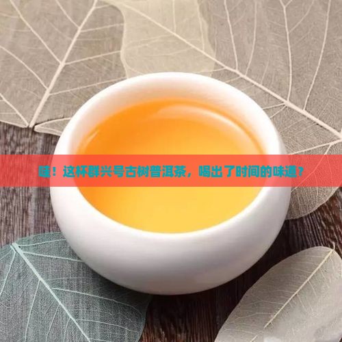 群兴号古树普洱茶