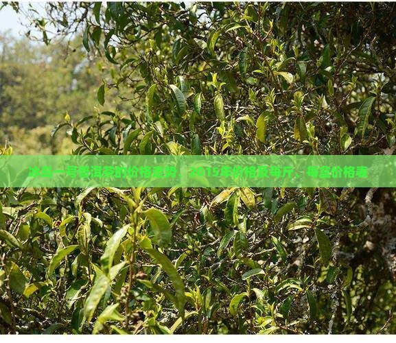 冰岛一号普洱茶的价格
