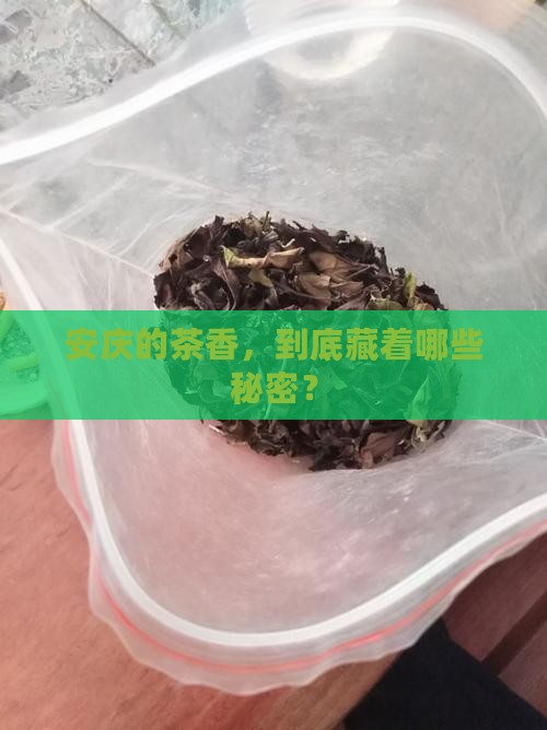 安庆的茶叶有哪些