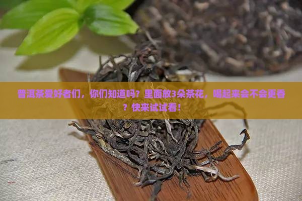 普洱茶里面有茶花好吗