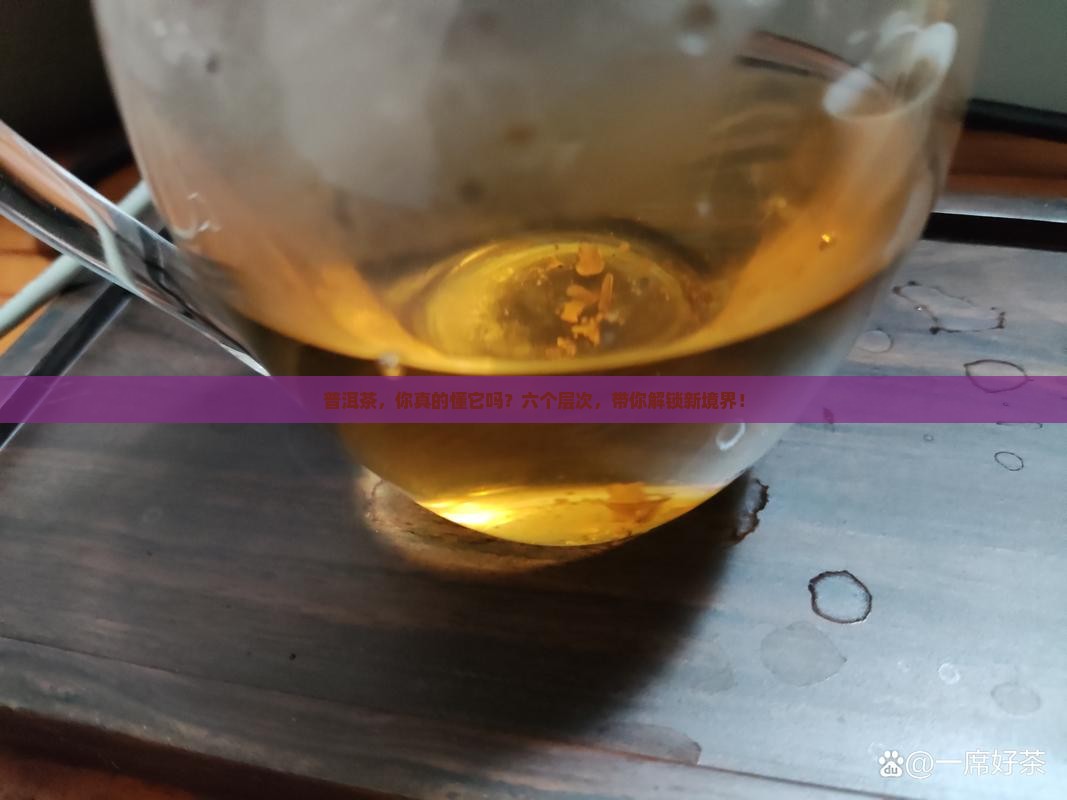 普洱茶的六个层次